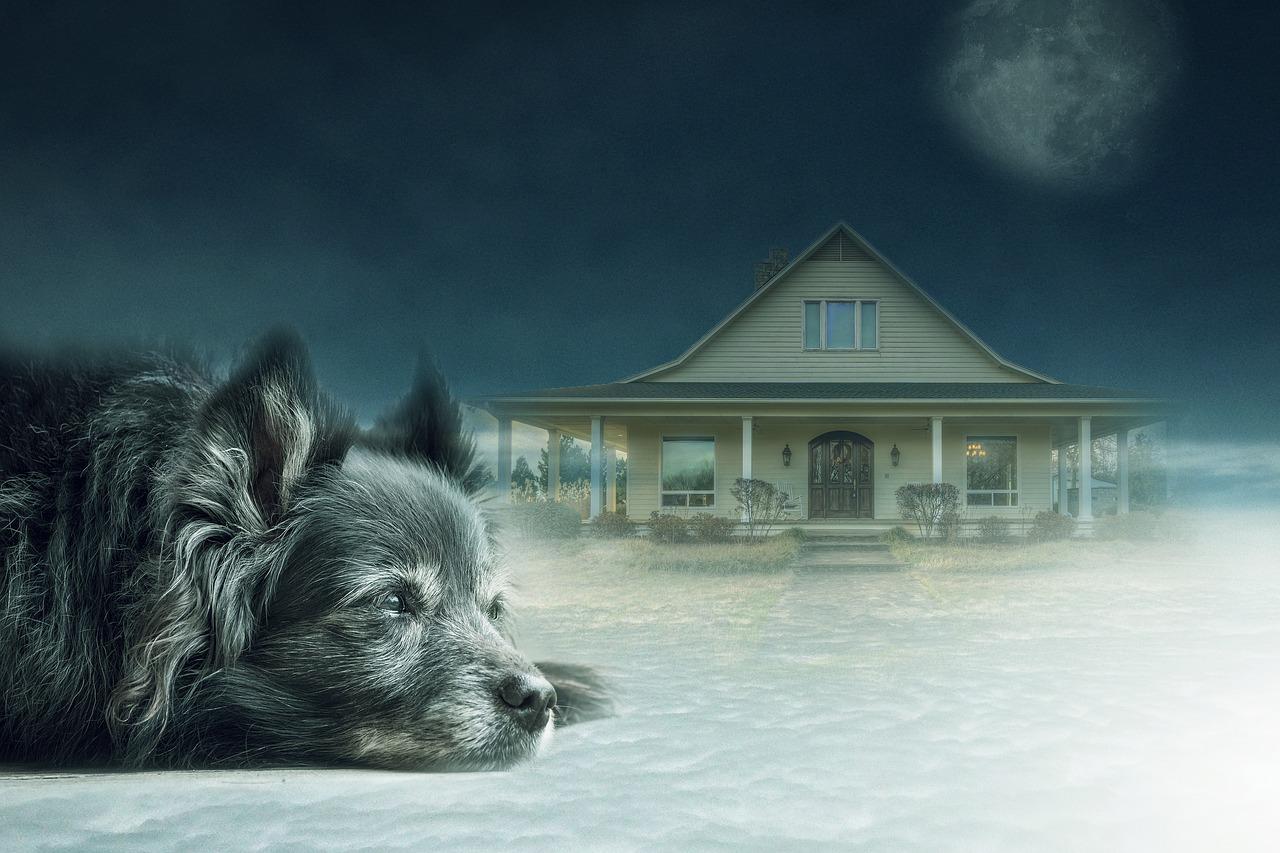 传统吉日购房技巧