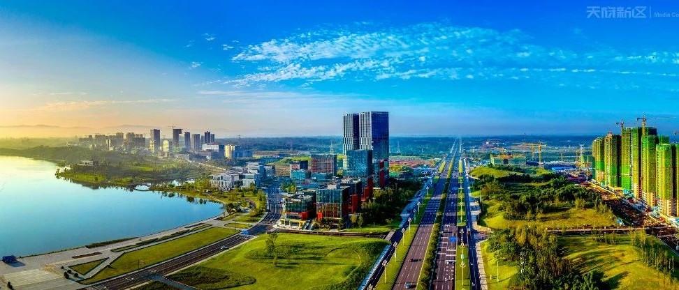 提高政治站位勇于担当作为丨推动新区优势转化为城市高质量发展动力