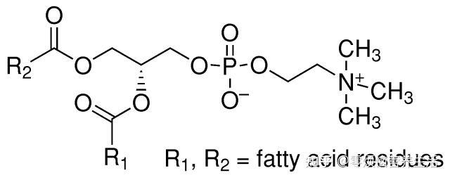 動物的腦,骨髓,心臟,肺臟,肝臟,腎臟以及大豆和酵母中都含有卵磷脂