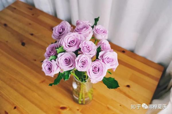 花艺实验室vol 2 花瓶插花小技巧 1 2种花材也能插的很好看 知乎