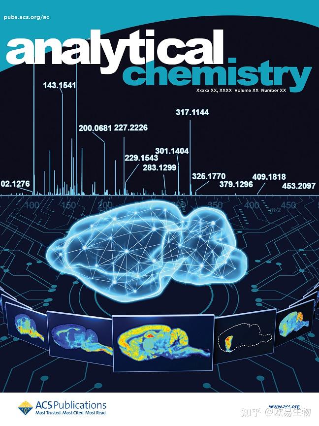空间代谢组学的质谱成像技术绘制大鼠脑代谢网络图的封面文章