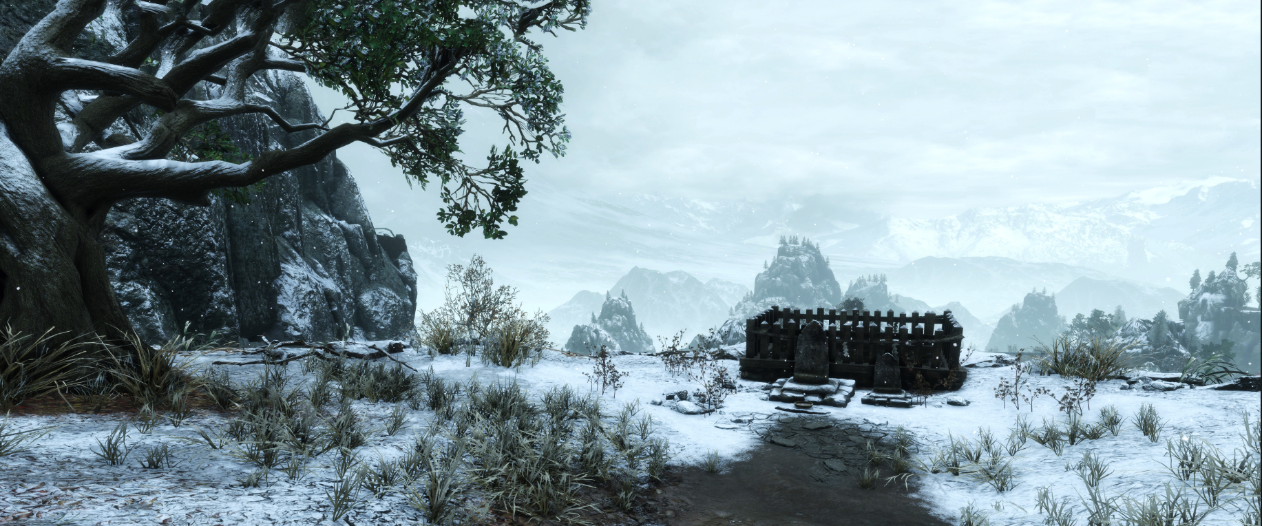 只狼美图分享 - 知乎