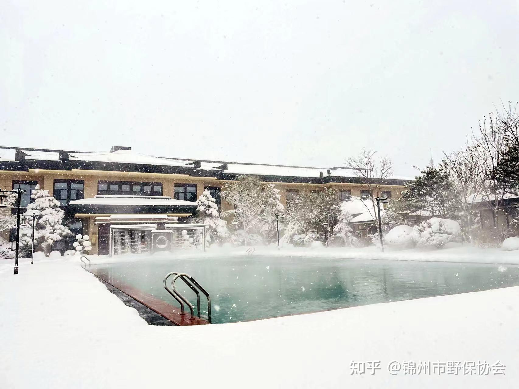 到了冬天，是时候来锦州东方华地城泡一泡温泉了 - 知乎
