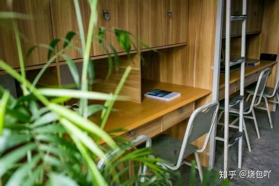 四川国际标榜职业学院的校园环境如何