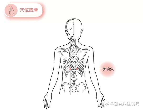 缓解劳累,改善暗淡肤色,按按脾俞穴 - 知乎