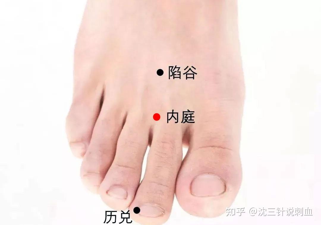 飞扬的准确位置图和作用 v2-f9aebcb516bd52e734418c755365c068_r.jpg