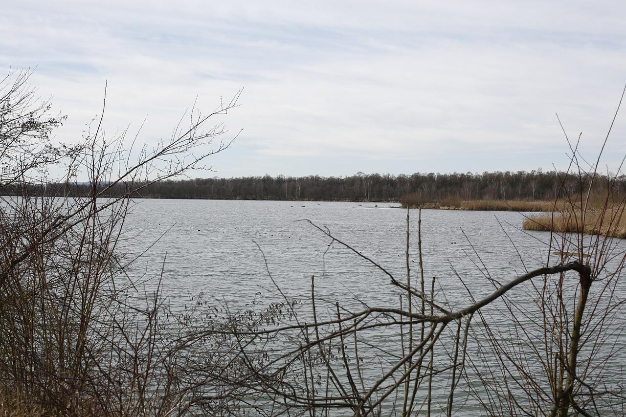 4. 佳苑邮编确认