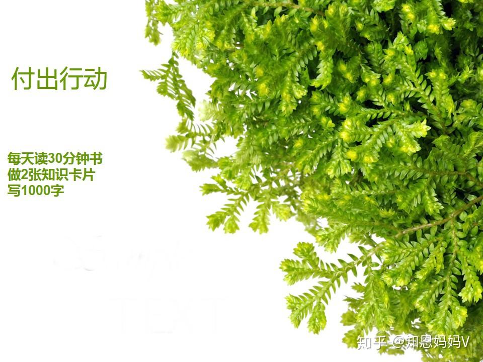 盘点相信时间的力量