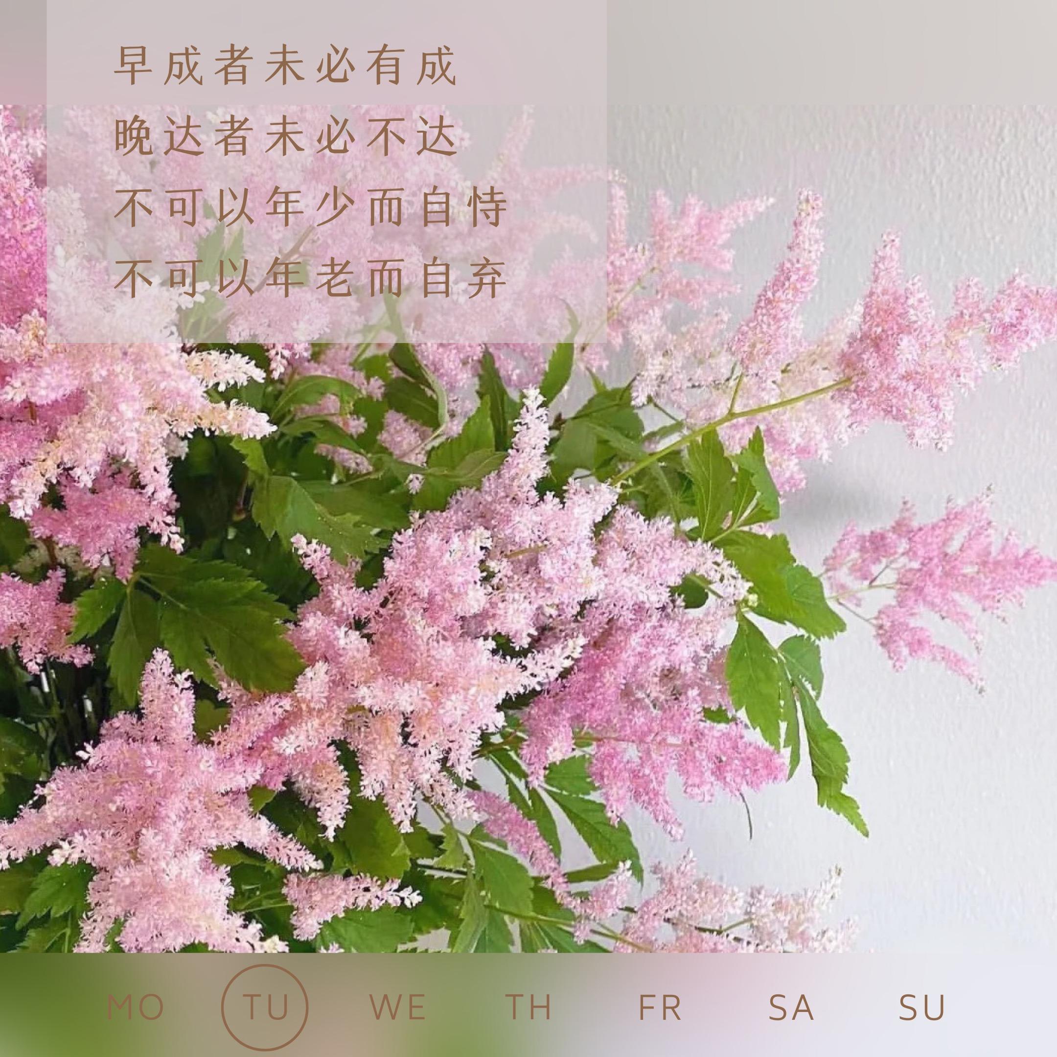 10句适合早上发圈的正能量励志文案愿生活充满阳光每天给最棒的你719