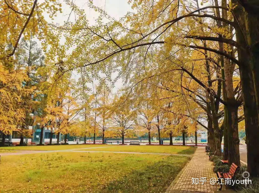 四川農業大學都江堰校區怎麼樣