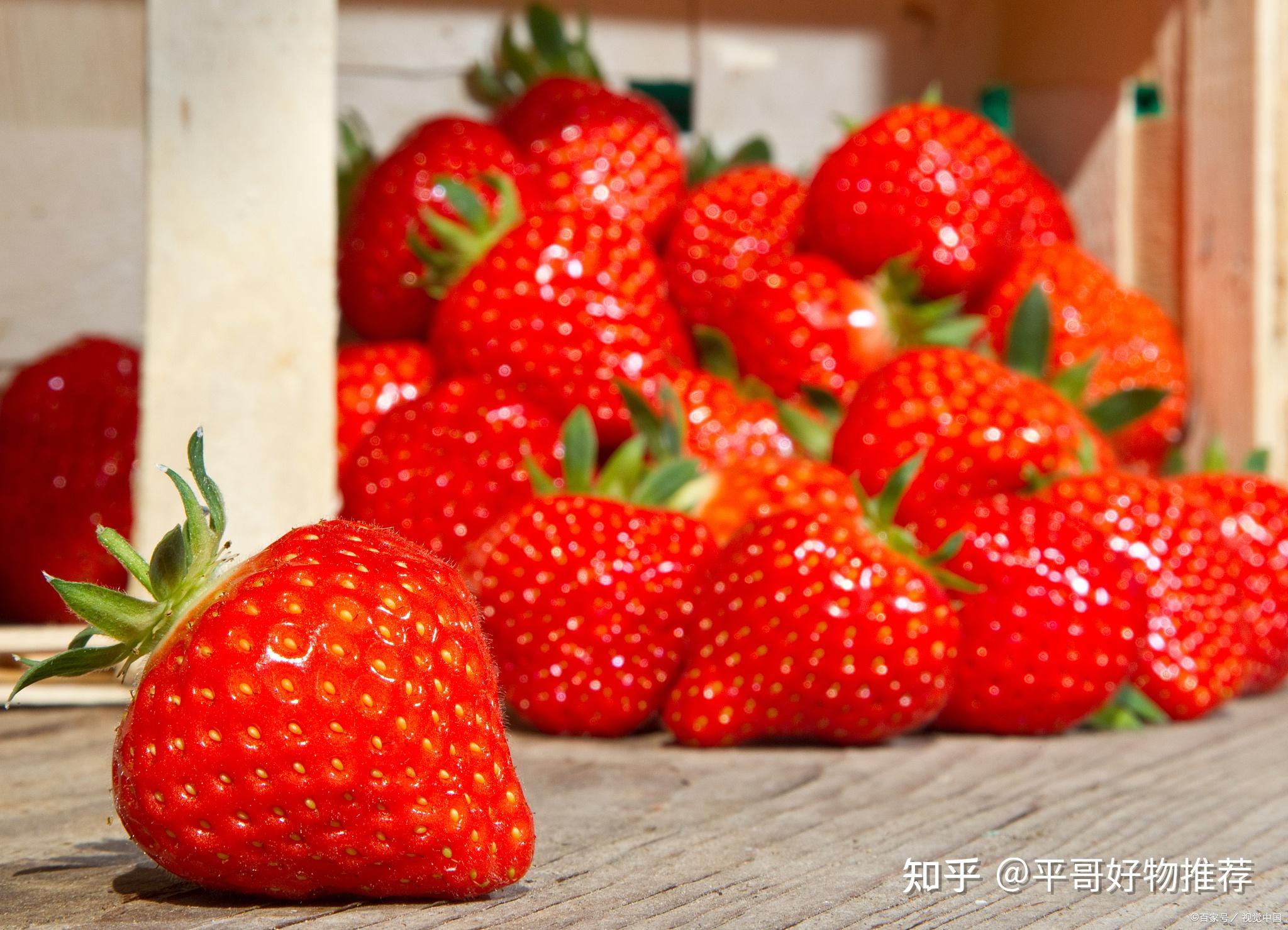 草莓的营养价值及功效与作用（草莓的做法大全）_环球信息网