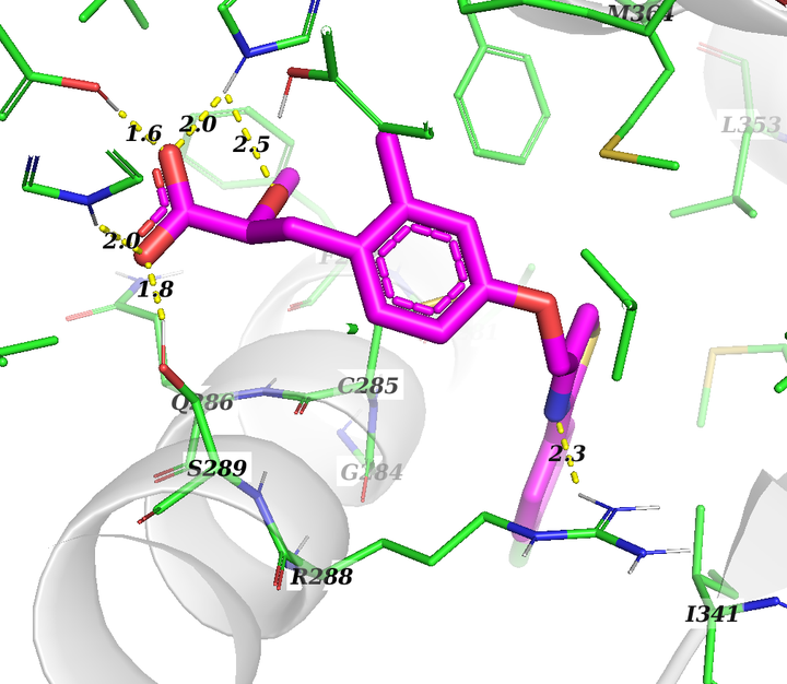 Pymol自动化显示小分子-蛋白相互作用 - 知乎