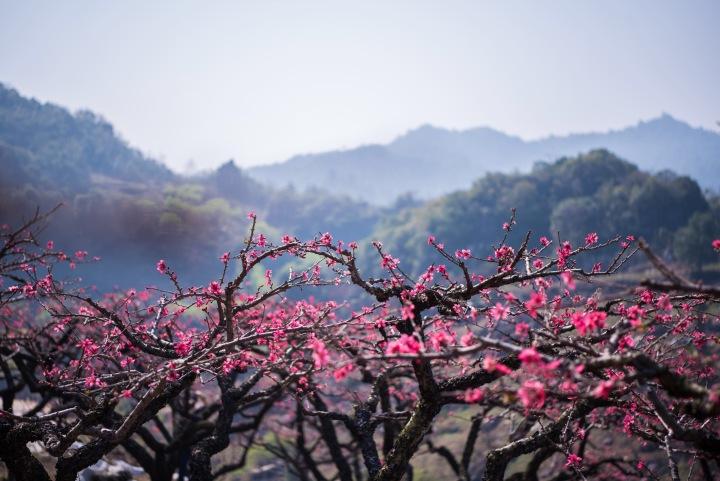 桃花源记 悉如外人 墓地说 问题之试探和考证 知乎