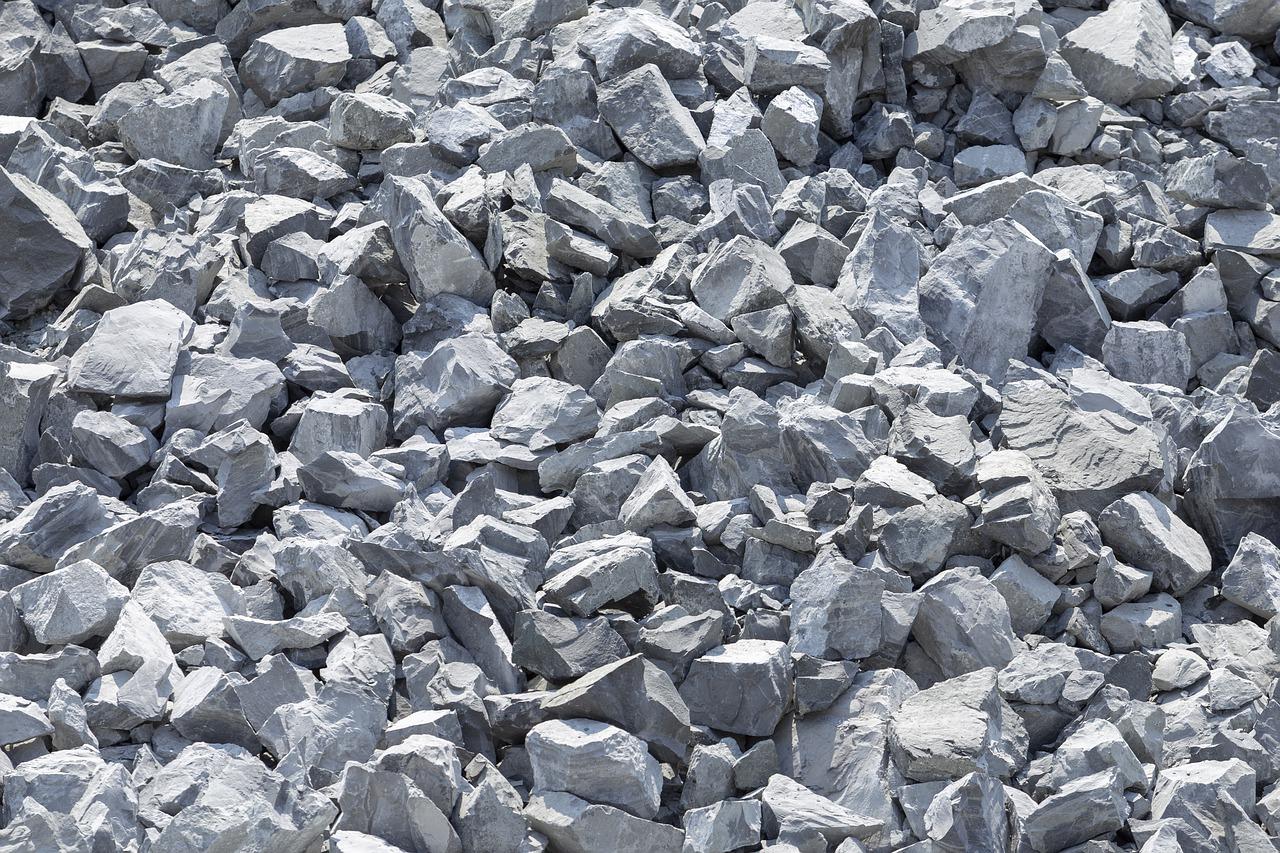 3. 石花繁殖方法