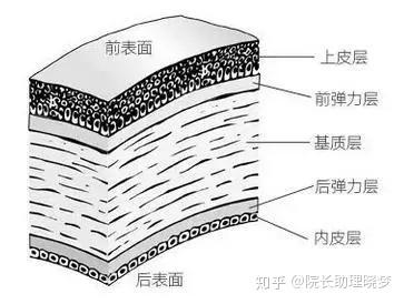 关于全飞秒激光手术 你想知道的全在这里了 知乎