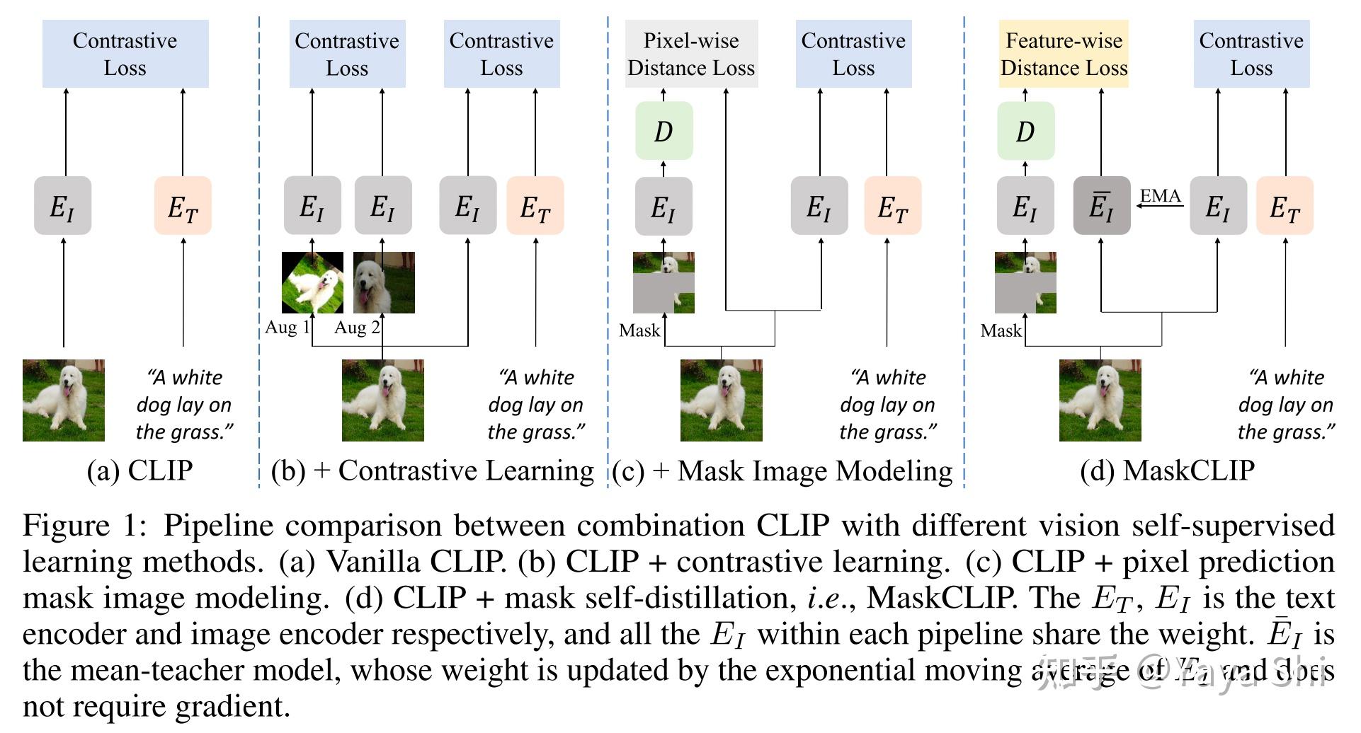 MIM for CV and VL 知乎