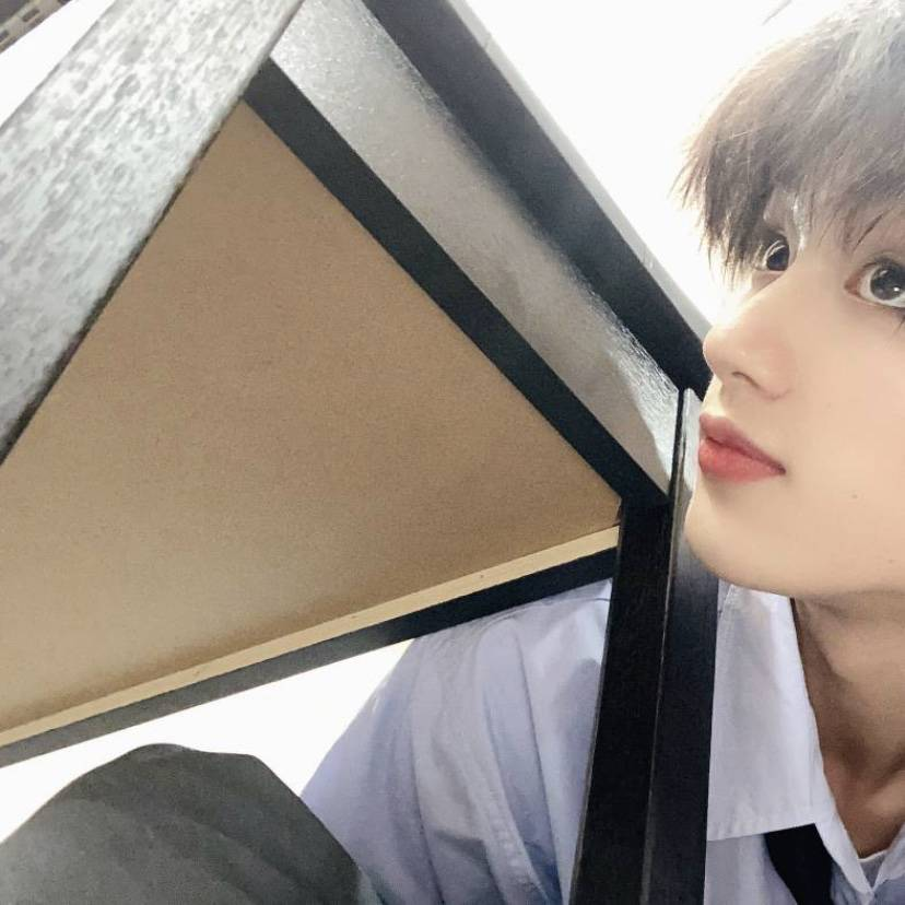 姊妹们谁能给我tnt的照片不带水印的那种啊