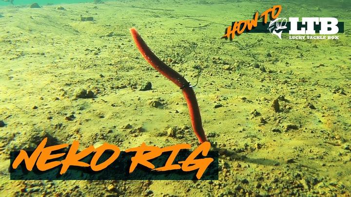 neko插铅钓组细节分享