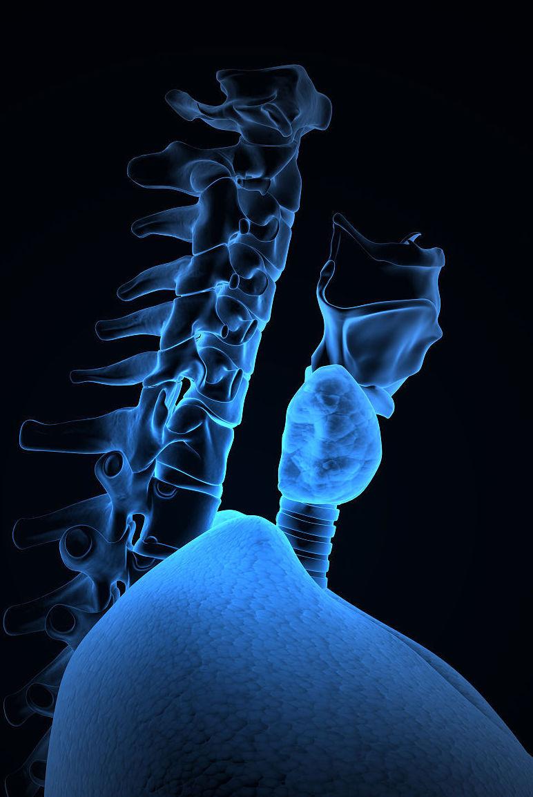 v2-f9f0ceff5ac98dac248f30e62de578d2_1440w.jpg?source=172ae18b