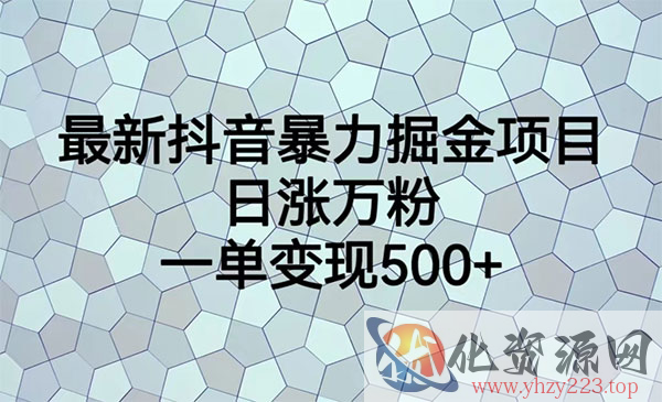 《抖音暴力掘金项目》日涨万粉，多种变现方式，一单变现可达500+_wwz