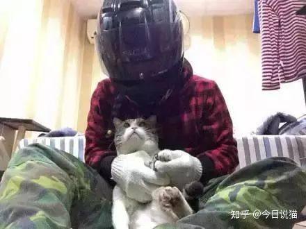 v2-f9ff1d68b469e0b39949b17ff4a0ed40_r.jpg