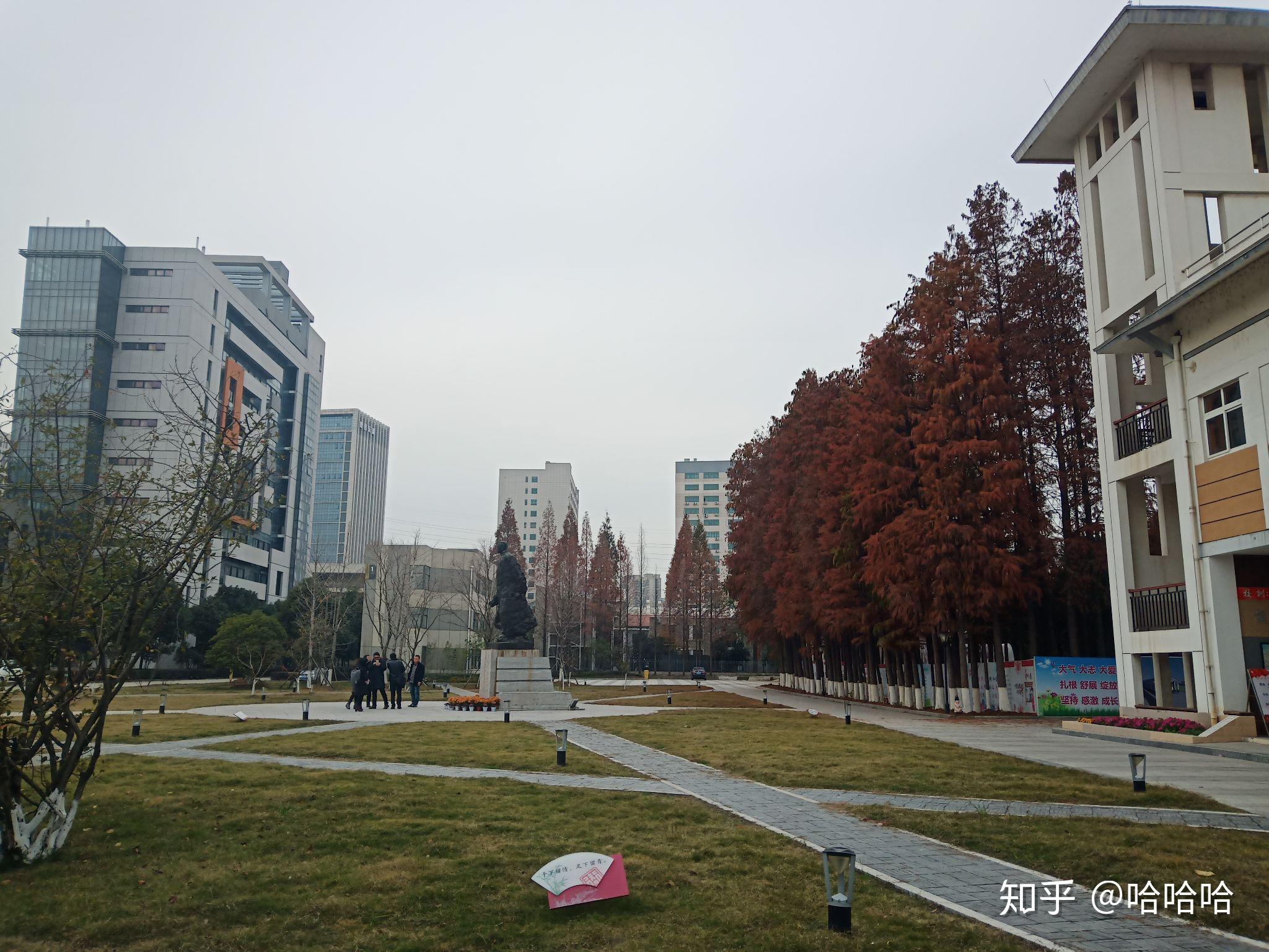 行知基地 - 知乎