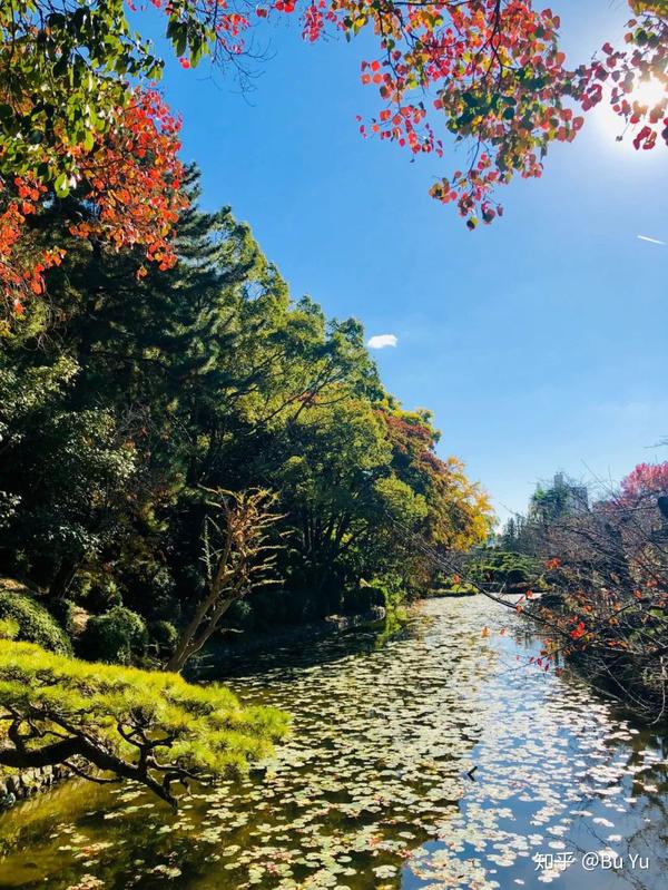 专属这个季节的温泉 红叶 高尔夫之旅in 四国爱媛县 知乎