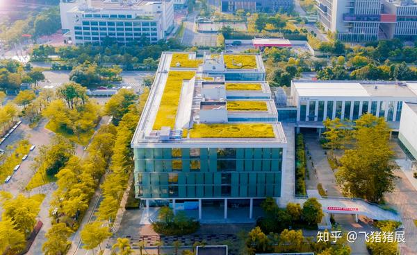 资讯 | 信息时代来深圳信息学院 玩转不一样的精彩未来(深圳一同资讯个人)