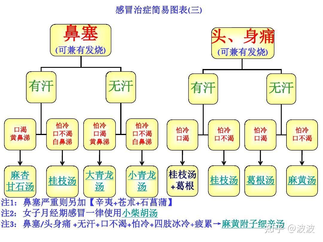 3600字详解倪海厦感冒治症简易图表