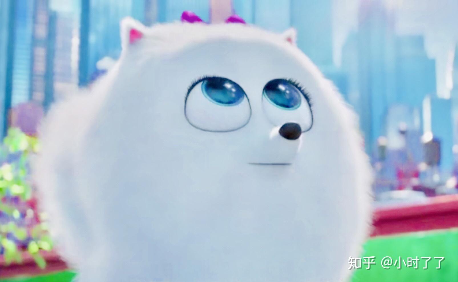 求《爱宠大机密》小白狗啾啾的头像? - 知乎