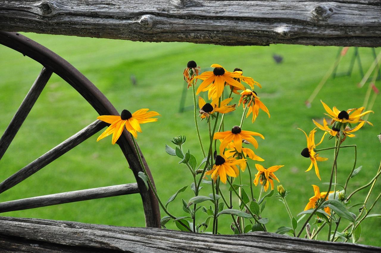 4. 控制浇水频率