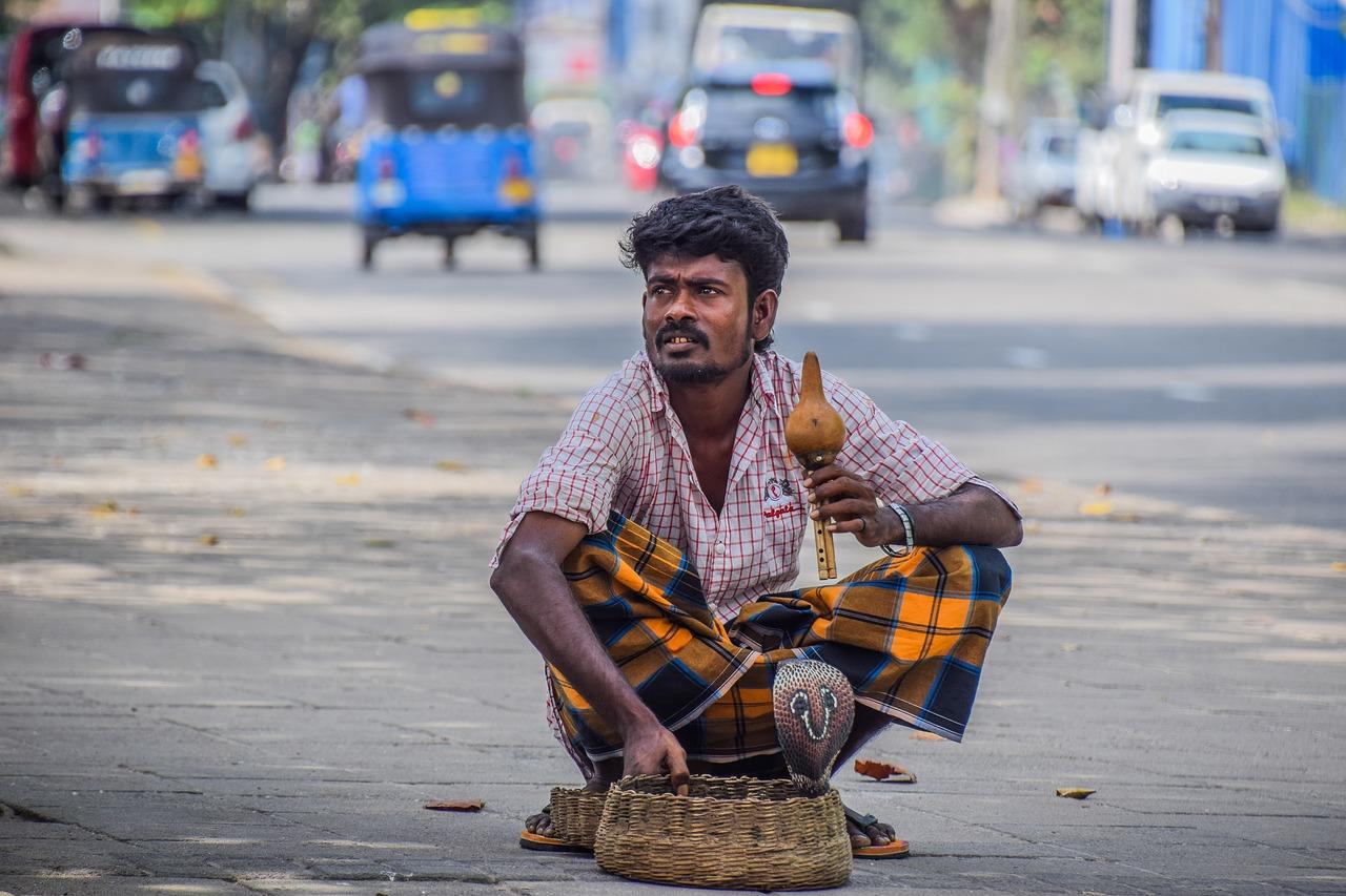 3. 艺术品收藏指南