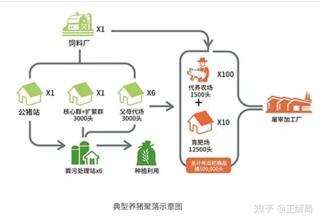 在新希望六合的养猪场工作是什么样的体验