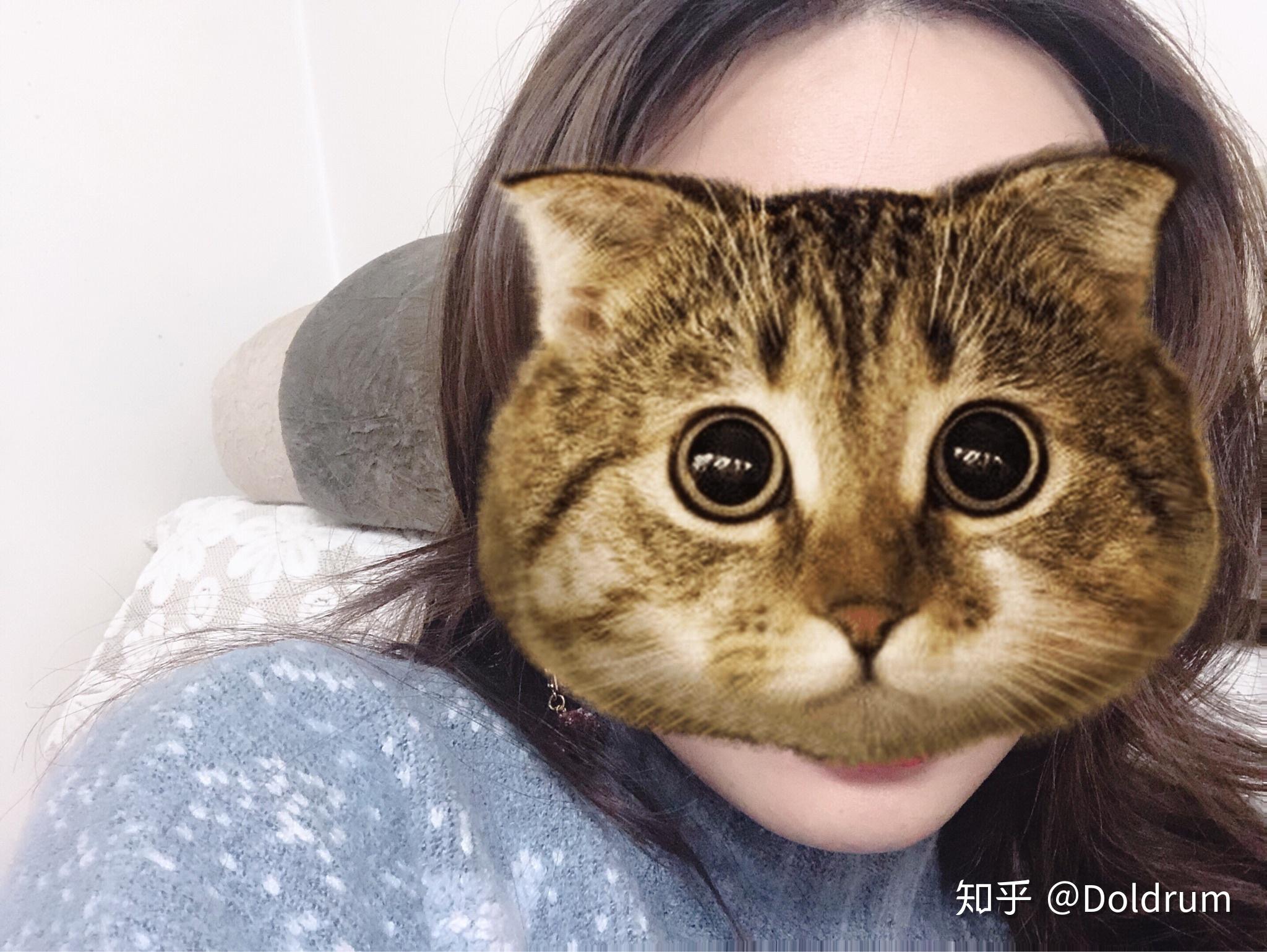 v2-fa4a5f3a345f19e187e4b25a3c979928_r.jpg
