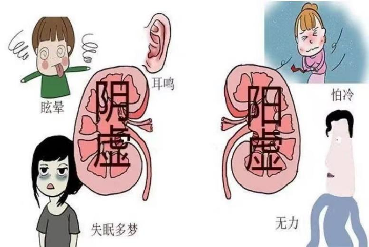 怕冷、怕热、阴虚、阳虚教你如何正确分辨,以及如何科学调整! - 知乎