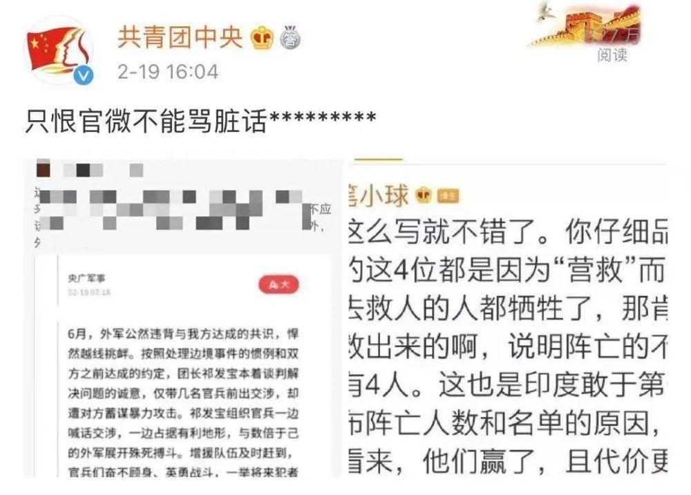 如何看待网民辣笔小球因诋毁戍边英雄被刑拘