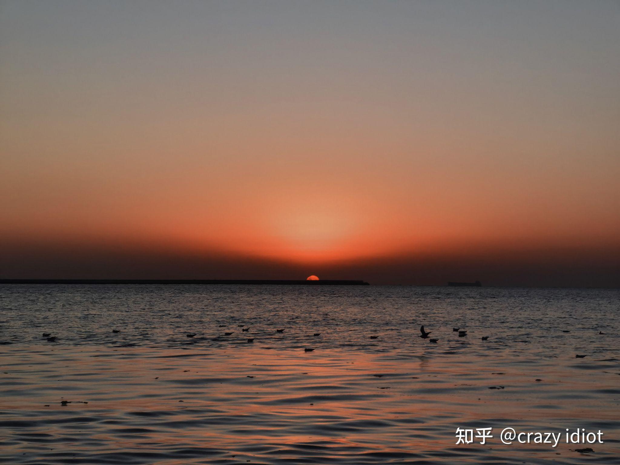 2021年你拍过哪些美好的照片