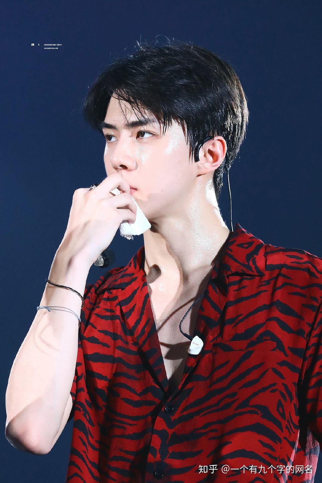 说说大家心里的韩团顶级神颜先说我的吴世勋lisa