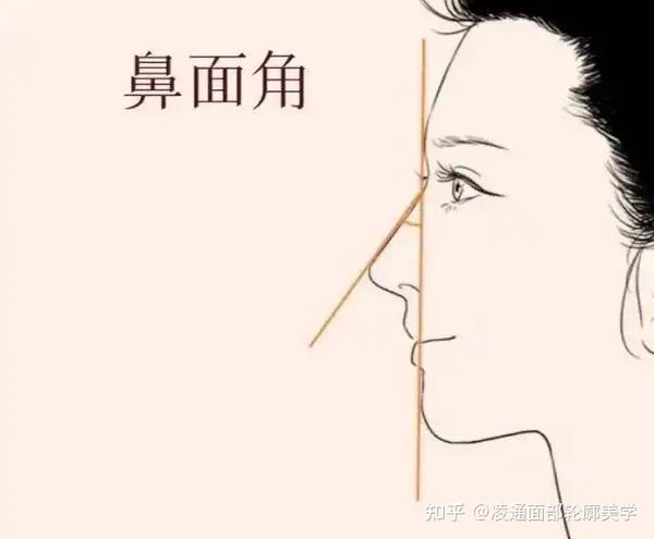 鼻部美学设计分享 - 知乎