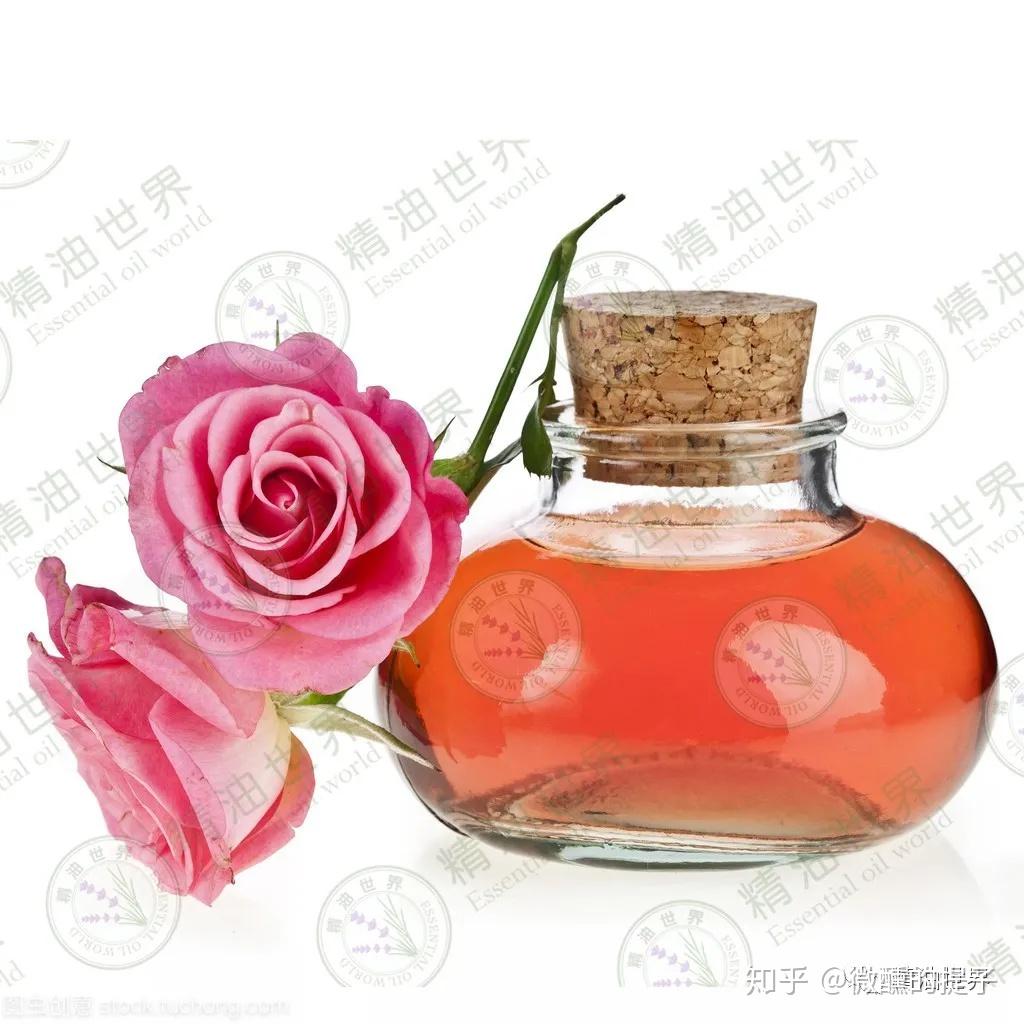 魅力女人必备的四款芳香精油