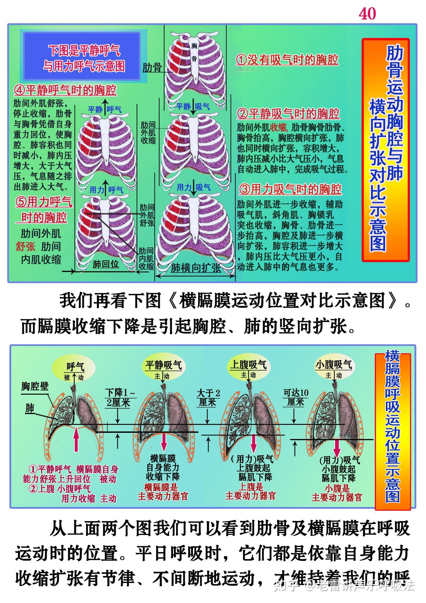 高中光呼吸的过程图解图片