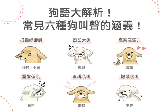 养狗10年才知道狗语大解析常见六种狗叫声的涵义