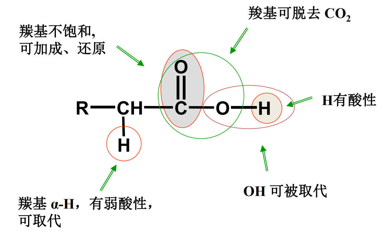 羧酸的反应