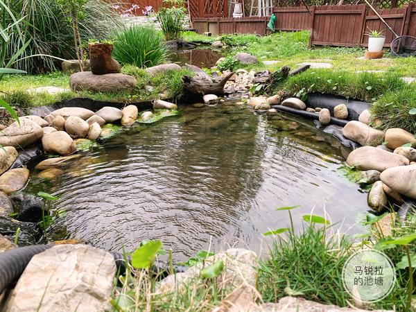 最初设计的小池塘,是在地势较高处的一个跌水池,然后通过一条 50cm 的