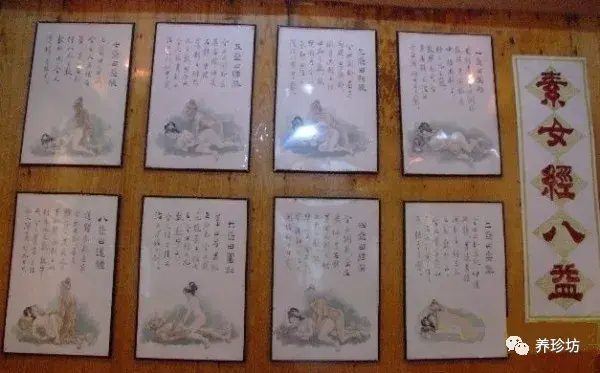 中国古代性学宝典房中术奇书天下至道谈房事养生之道