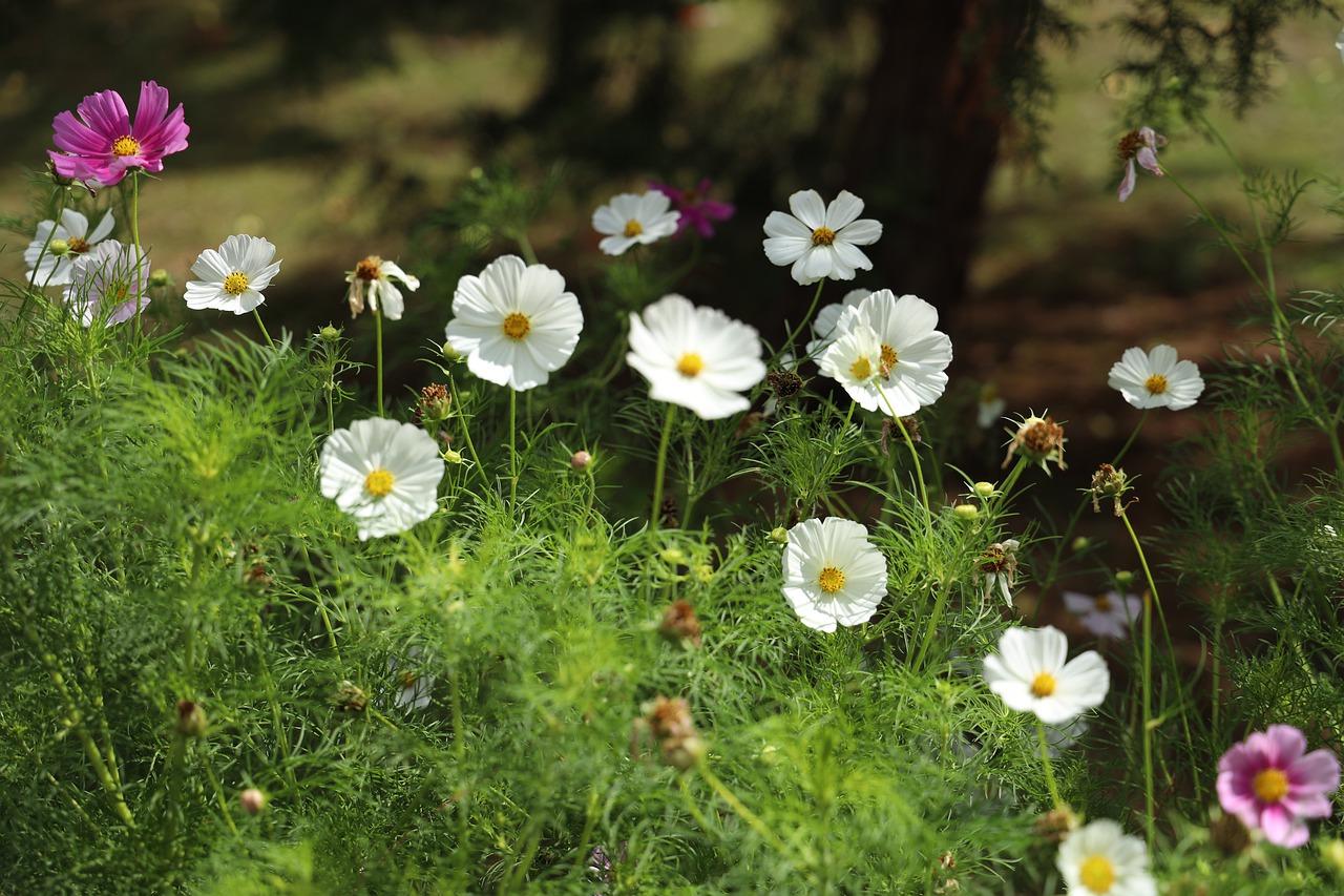 林庭苑楼层结构