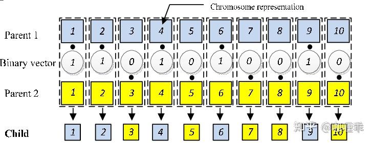 Pygard 使用 PyGAD 的遗传算法:选择、交叉、变异 - 知乎
