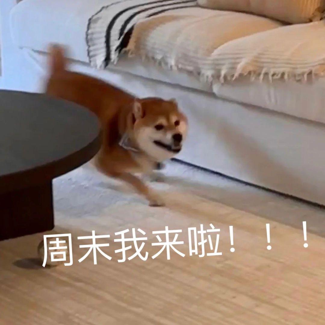 分享一组职场表情包 - 知乎
