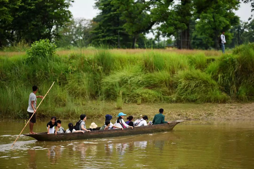 观看河中的鳄鱼;坐牛车去附近的村庄转悠,像原始人一样去丛林里追逐