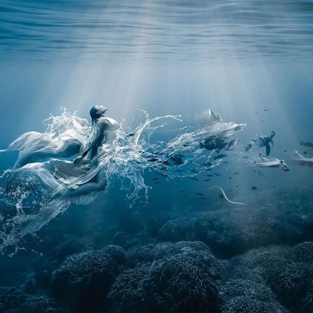 奇幻又唯美这位潜水摄影师给我们呈现一组视觉大片